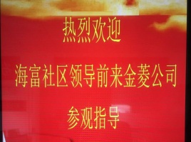 海富社區(qū)領(lǐng)導(dǎo)來(lái)我司參觀(guān)指導(dǎo)1